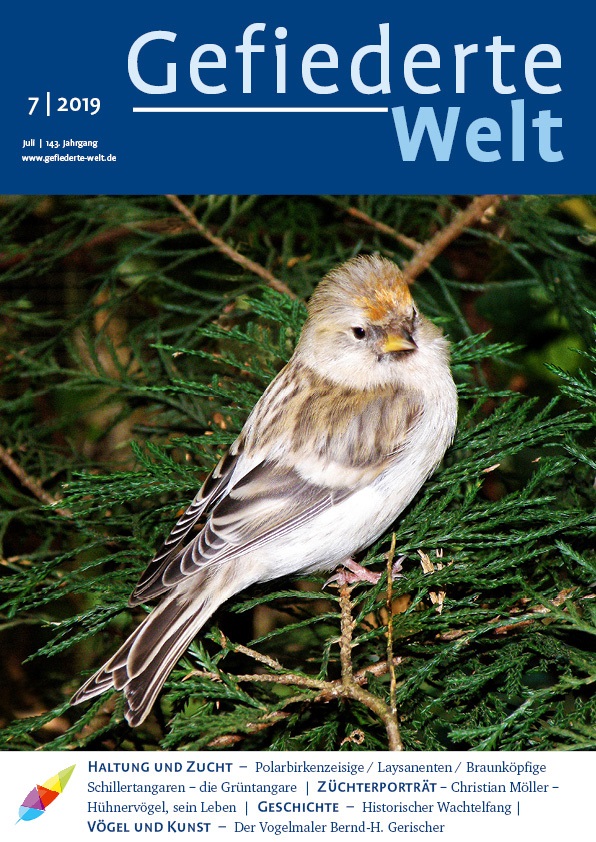 gw2019-07_u1_titel.jpg