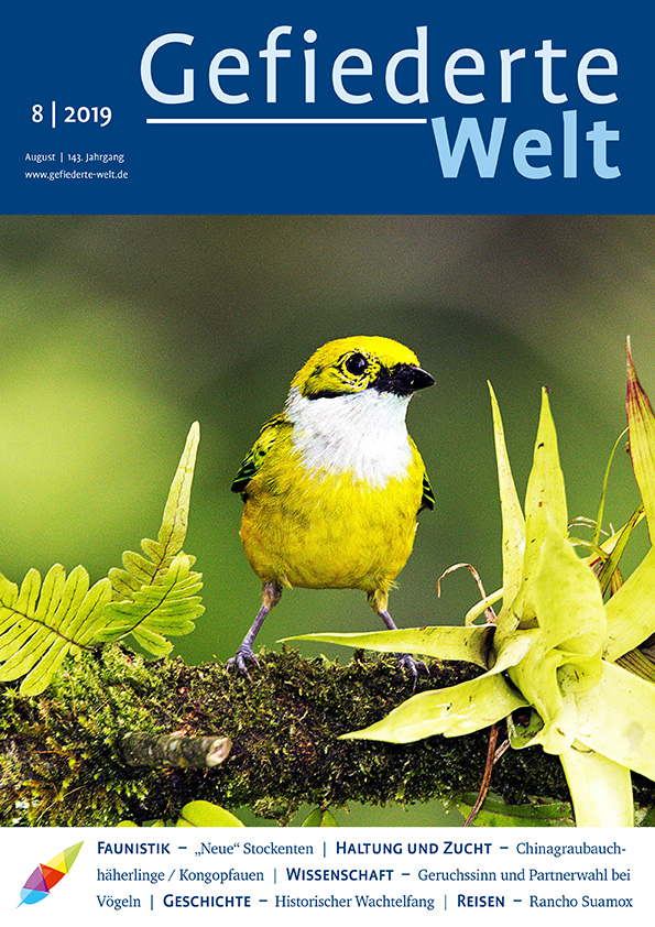 gw2019-08_titel.jpg