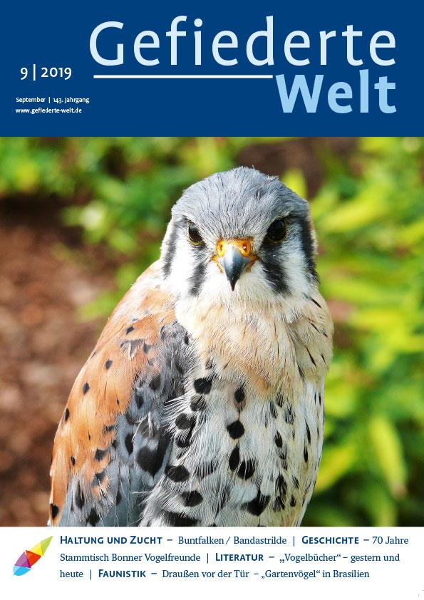 gw2019-09_titel.jpg
