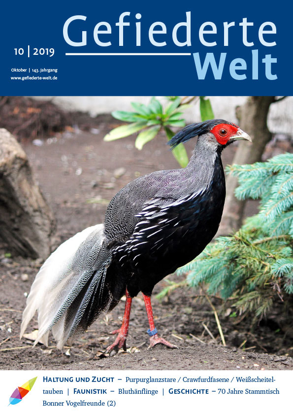 gw2019-10_titel.jpg