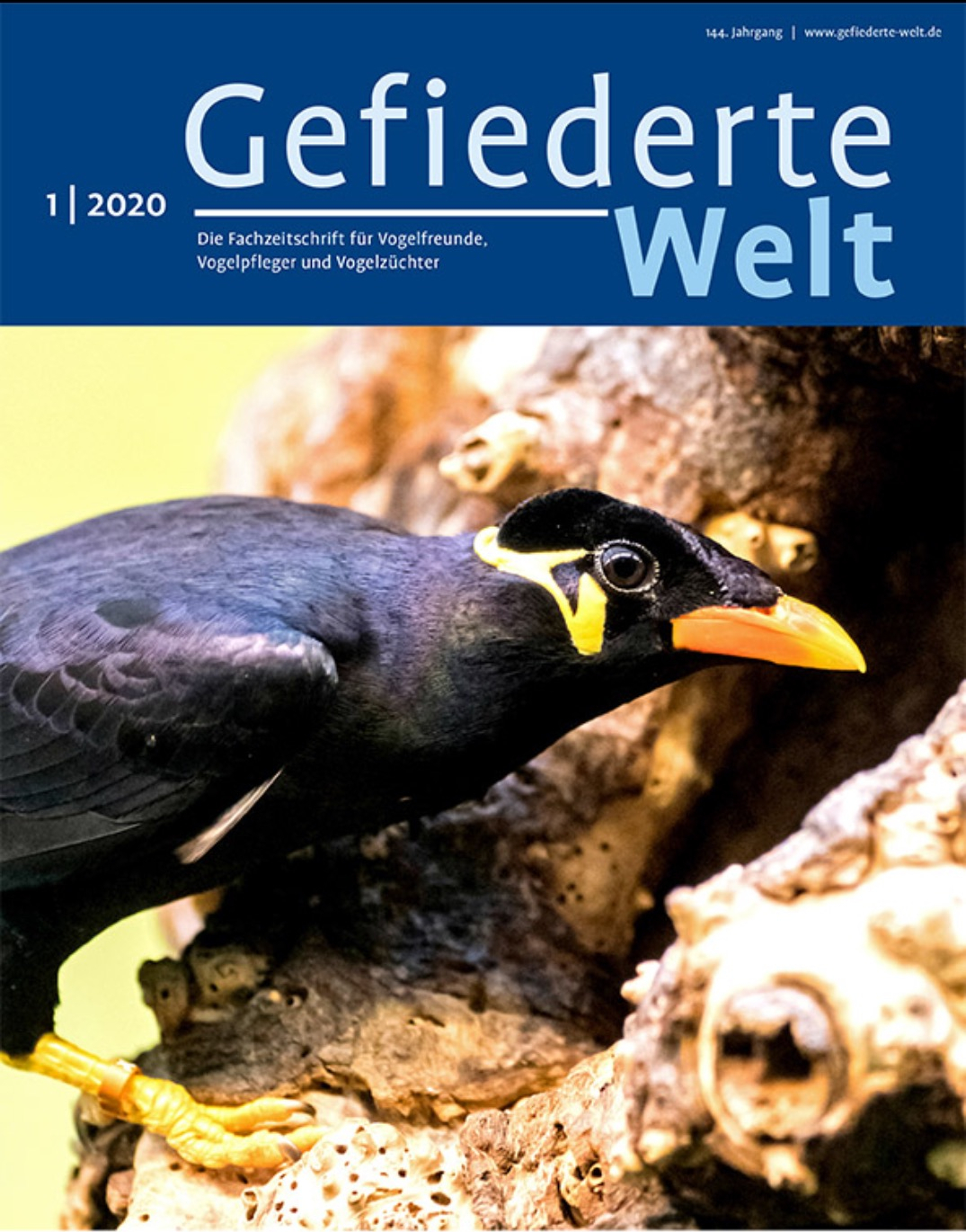 gw_2020_01_cover_cut.jpg