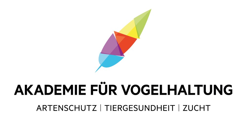 akademie_webversion.jpg