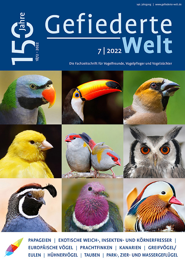 gw2022-07_u1_titel.jpg