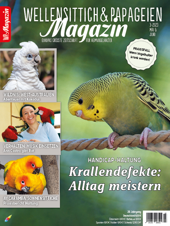 wp_03_titelseite.jpg