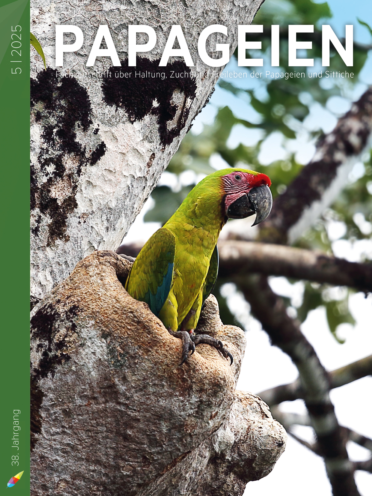 pap2025_05_cover.jpg