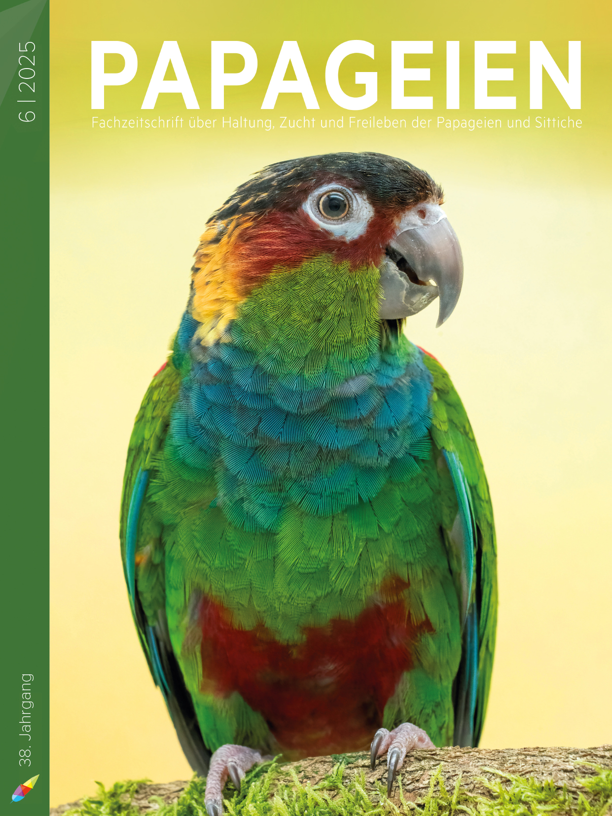 pap2025_06_cover.jpg