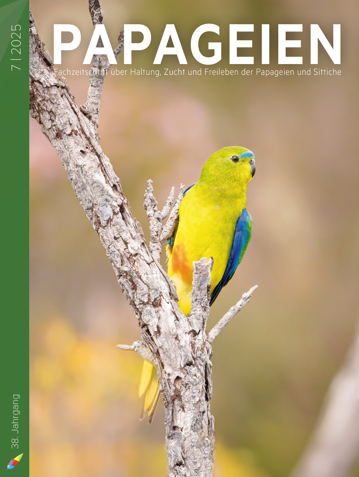 pap2025_07_cover.jpg