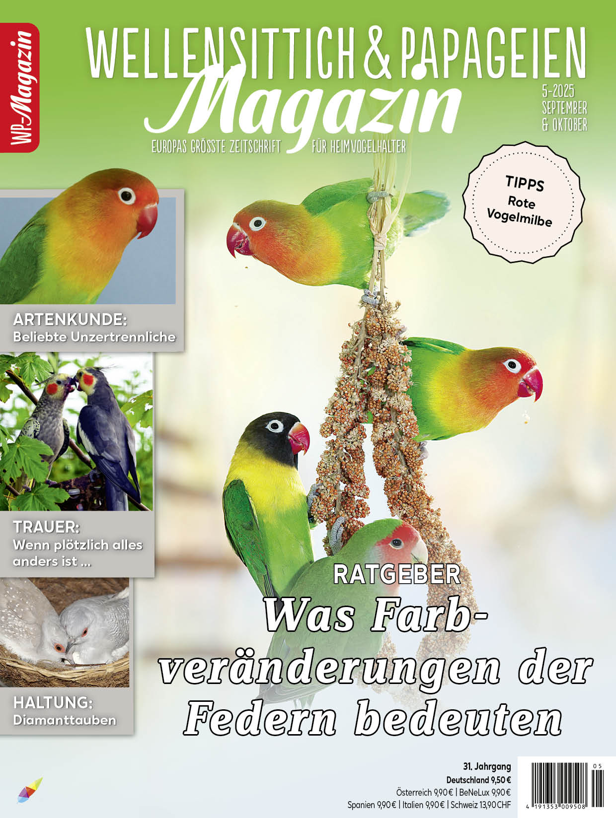 wp_5_2025-01_cover.jpg