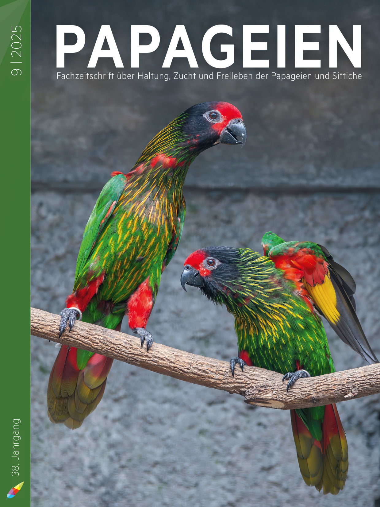 pap2025_09_cover.jpg