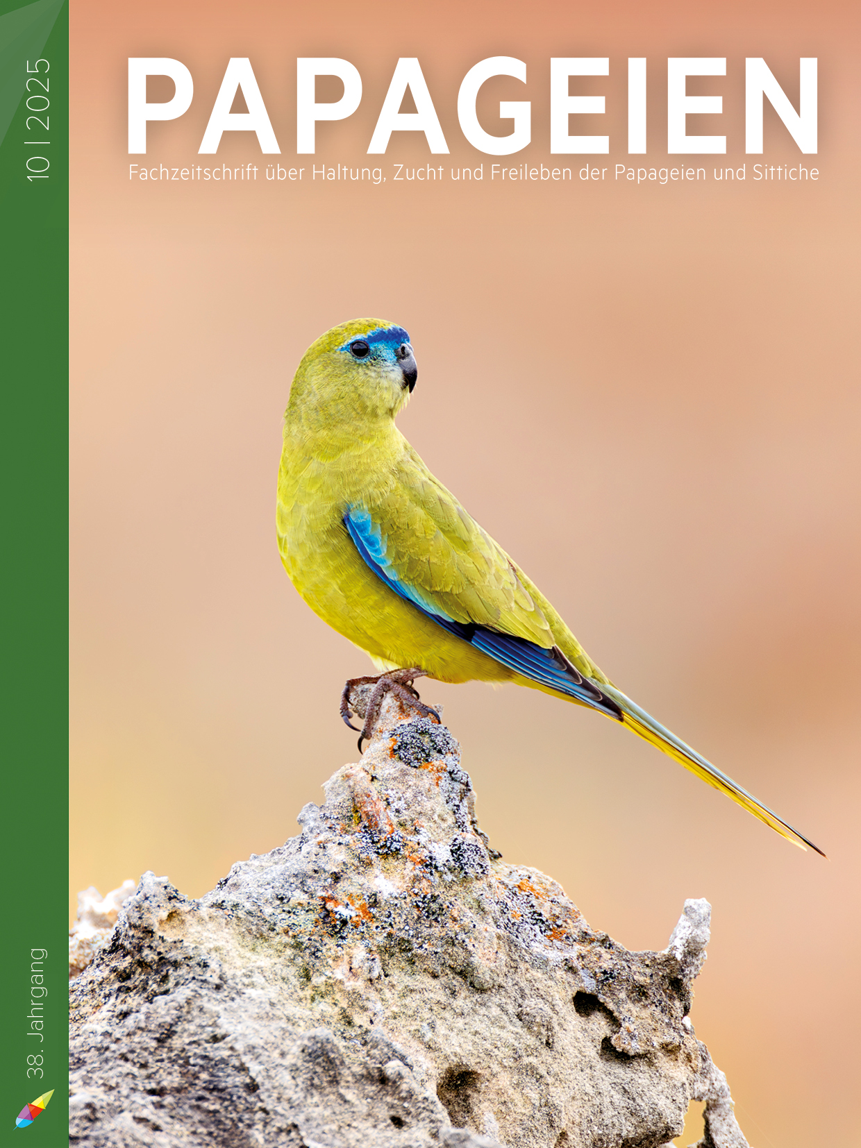 pap2025_10_cover.jpg