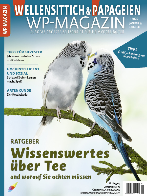 wp_1_2026-01_cover_neu.jpg