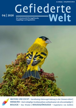 01_GW_04_2026_Titel6