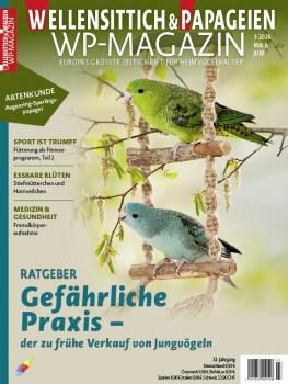 01_WP_3_2026-01_Cover