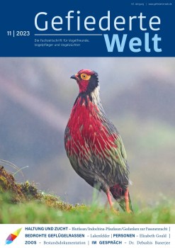 72-dpi-titelseite-gefiederte-welt-11_2023