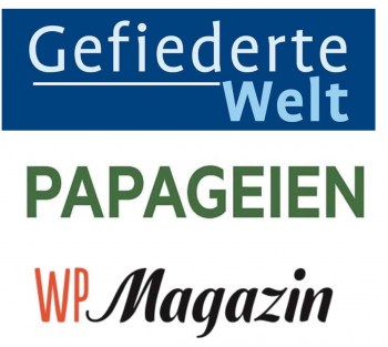 GW-PAP-WP