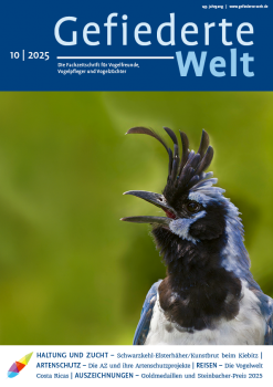 GW2025-10_U1_Titel