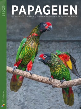 PAP2025_09_Cover