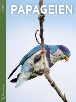 PAP2025_11_01_U1-U4_n_korr029