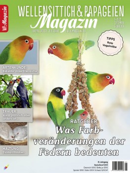 WP_5_2025-01_Cover