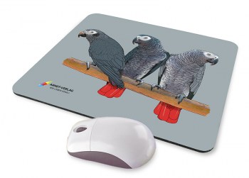 Werbung_Mousepad_Graupapageien