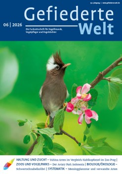 01_GW_06_2026_Titel6