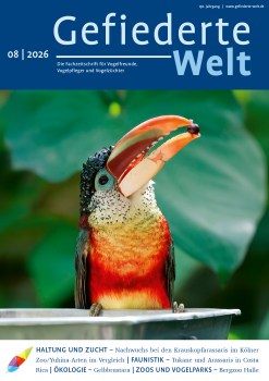 01_GW_08_2026_Titel