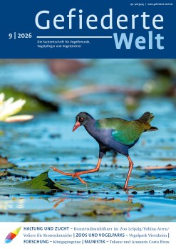 01_GW_09_2026_Titel4