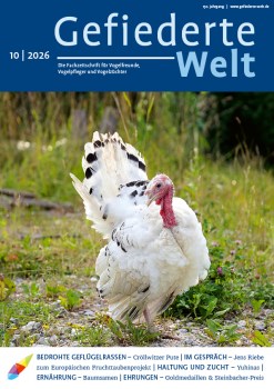 01_GW_10_2026_Titel