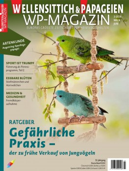 01_WP_3_2026-01_Cover1