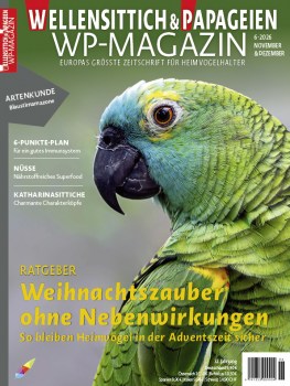 01_WP_6_2026-01_Cover