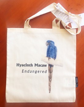 Beutel_Hyacinth_Macaw