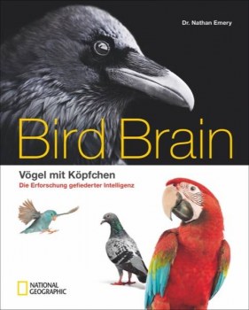 Bird_Brain