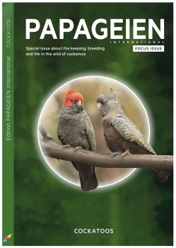 Cockatoos_Anzeigen-Aquise_Titel
