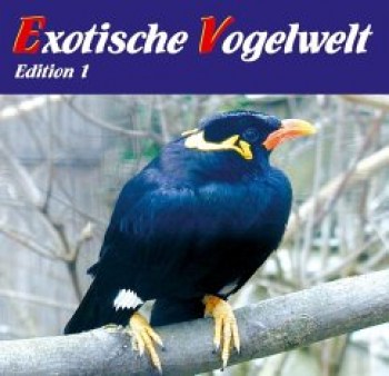Exotische_Vogelwelt