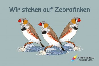 Fussmatte_Zebrafinken