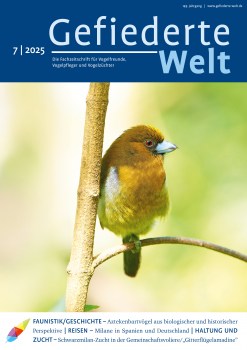 GW2025-07_U1_Titel