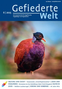 GW2025-08_U1_Titel