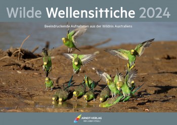 Kalender_Wilde_Wellensittiche_2024_Titel