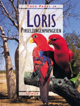 Loris