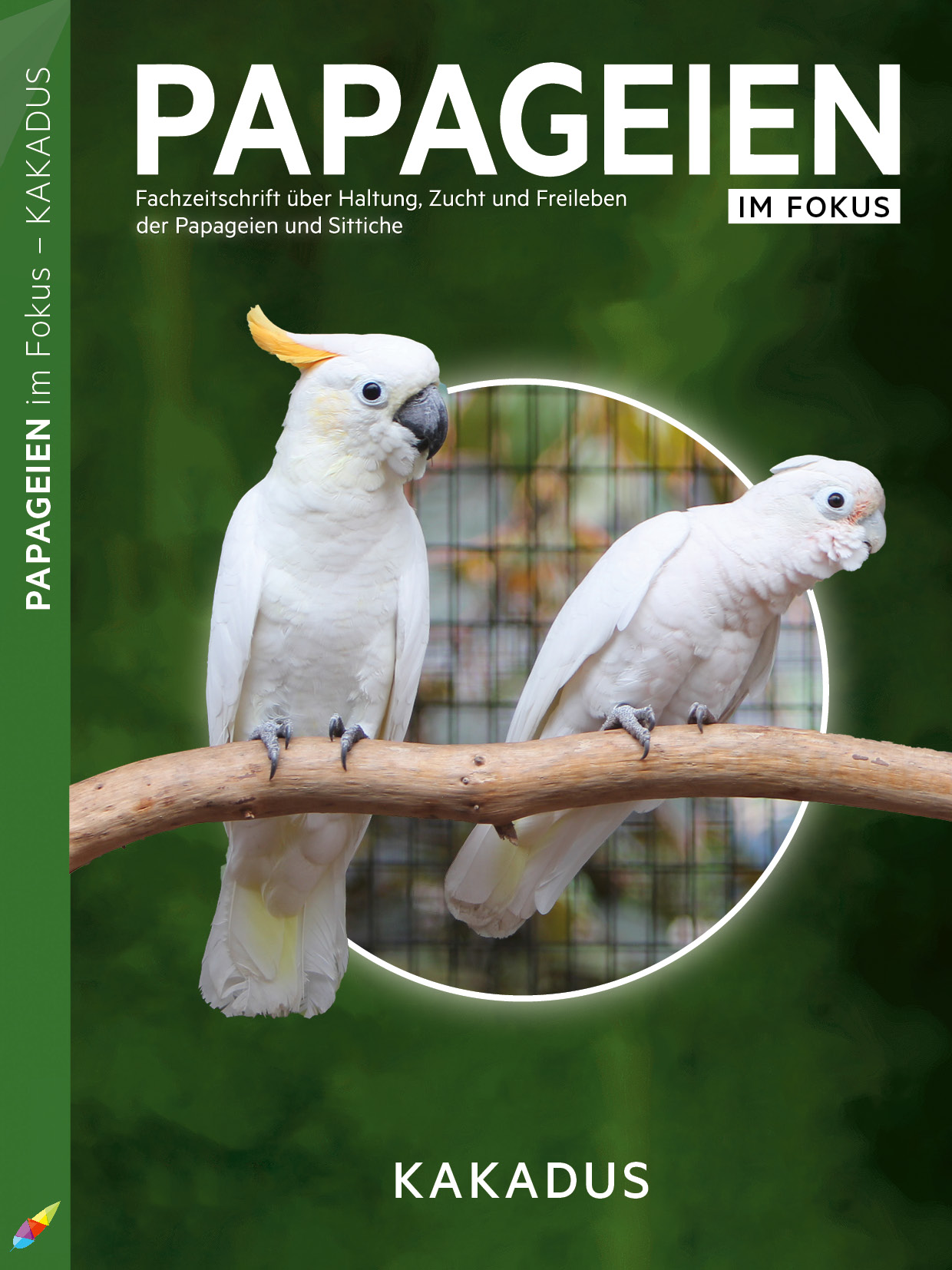 ARAS2025_01_01_Titel1