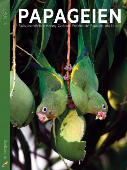 PAP2025_04_Cover