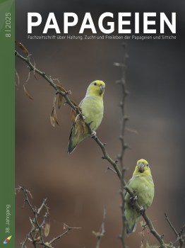 PAP2025_08_Cover