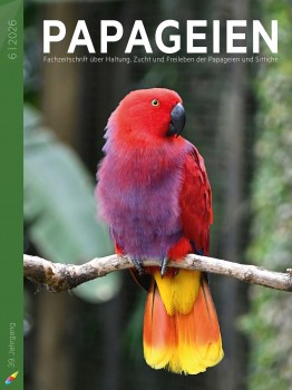 PAP2026_06__cover9