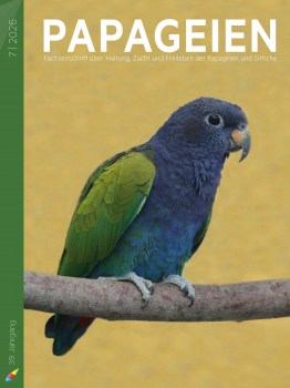 PAP2026_07_cover