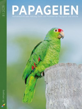 PAP2026_08_cover