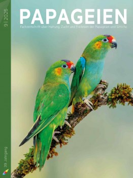 PAP2026_09_cover