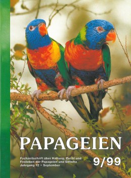 Pap0999