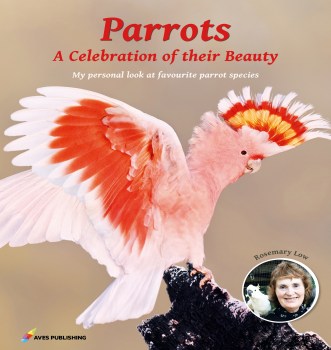 Parrots_Low