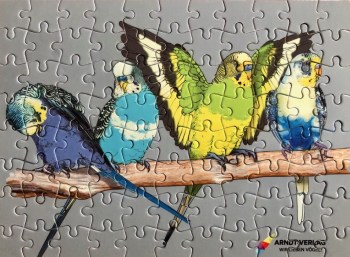 Puzzle_Wellensittiche1