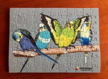 Puzzle_Wellensittiche